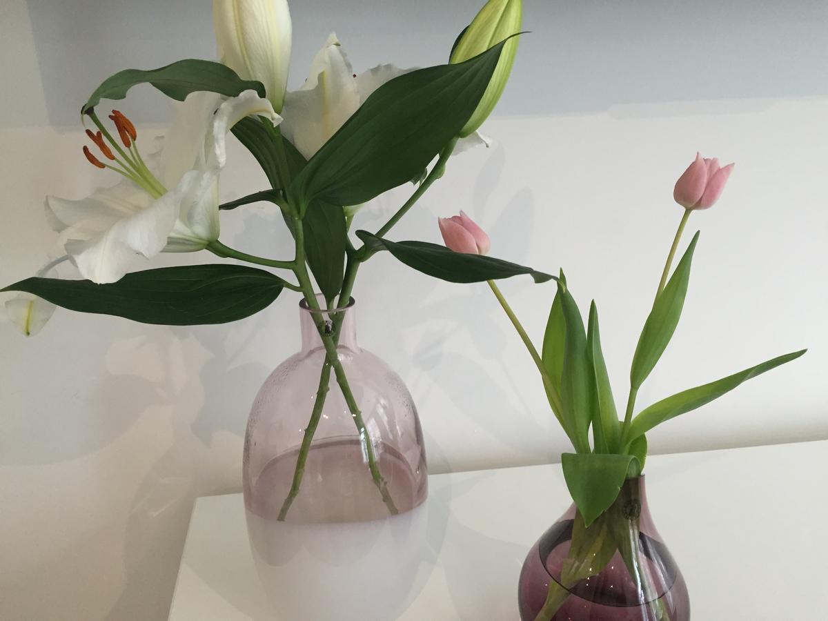 Antwerp Business Suites Bagian luar foto
