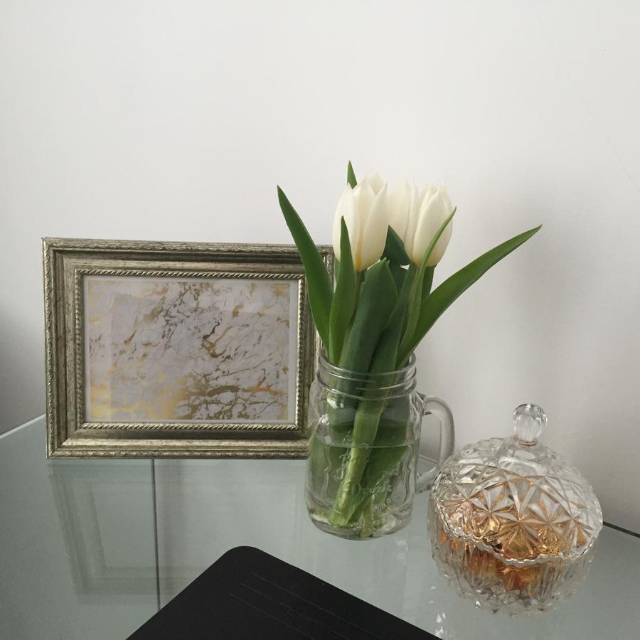 Antwerp Business Suites Bagian luar foto